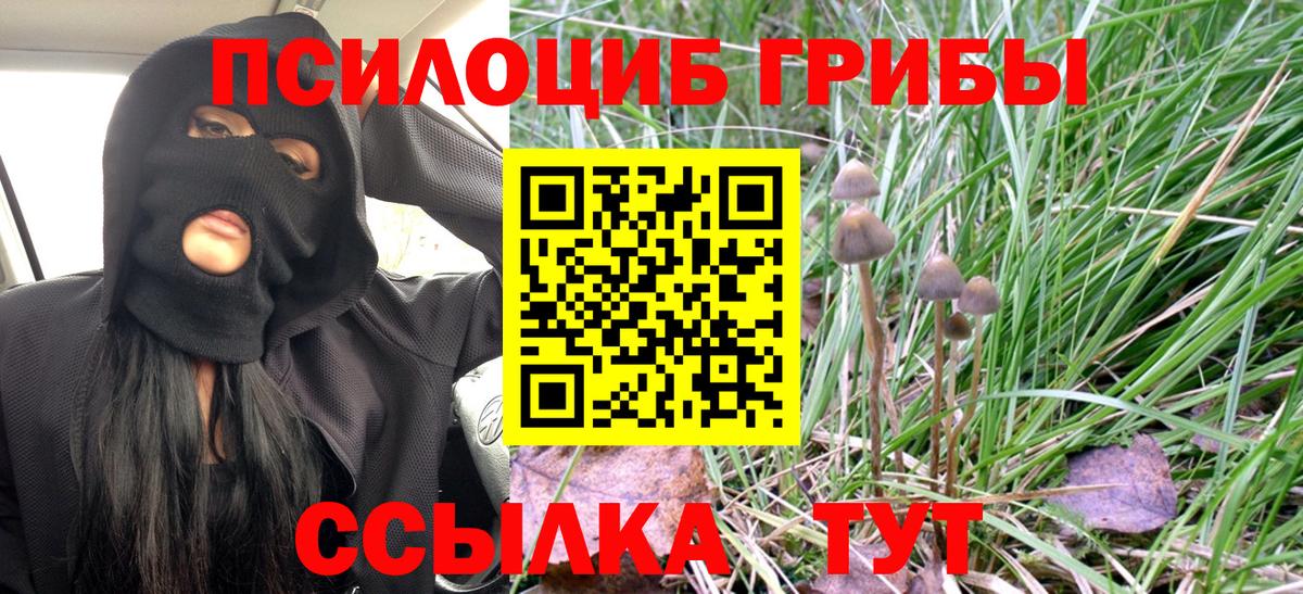 Псилоцибиновые грибы GOLDEN TEACHER Рыбинск